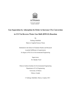 Gas Separation by Adsorption In Order to Increase CO2 Conversion