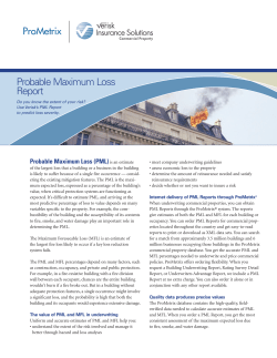 Probable Maximum Loss Report
