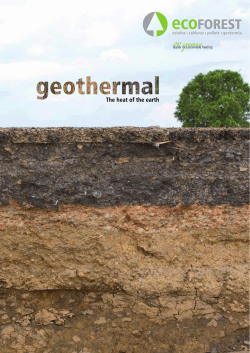 leader in sustainable heating