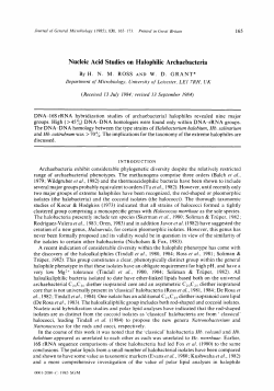 Nucleic Acid Studies on Halophilic Archaebacteria