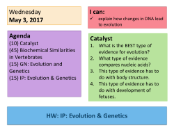 DNA Replication - Duplin County Schools