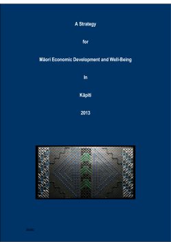 A Strategy for Māori Economic Development and Well