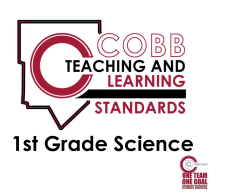 The First Grade, Cobb Teaching and Learning Standards for science