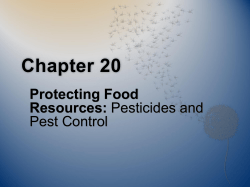Chapter 20 - TCS Moodle 2