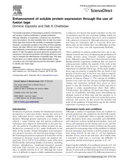 Enhancement of soluble protein expression through the use of