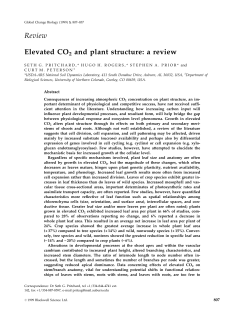 Review Elevated CO2 and plant structure: a review