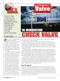 check valve - DFT Valves