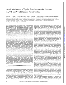 Neural Mechanisms of Spatial Selective Attention in Areas V1, V2