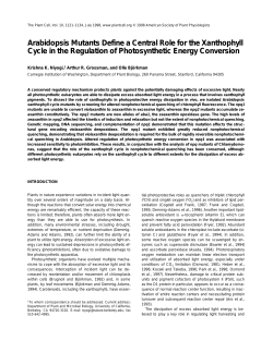 Arabidopsis Mutants Define a Central Role for the Xanthophyll Cycle