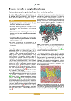 Hydrogen-bond networks in proton transfer and chemo