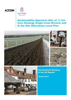 Sustainability Appraisal (SA) of 1) the Core Strategy Single Issue