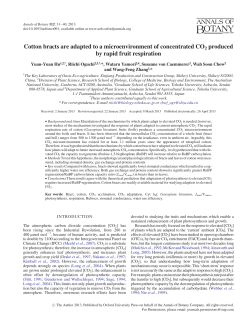 Cotton bracts are adapted to a microenvironment
