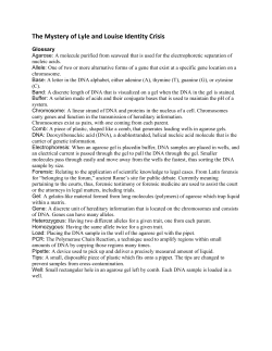 The Mystery of Lyle and Louise Identity Crisis