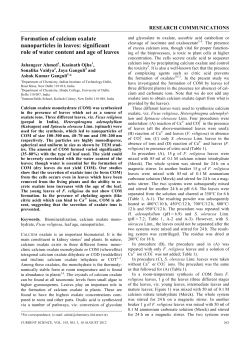 Formation of calcium oxalate nanoparticles in leaves