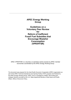 APEC Energy Working Group Guidelines on a Voluntary Peer