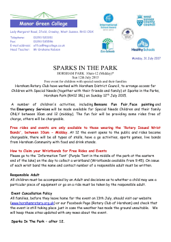 Sparks in the Park 2015