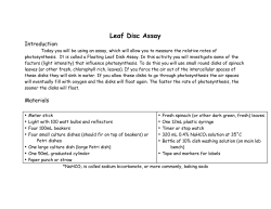 Leaf Disc Assay