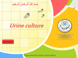 Urine culture