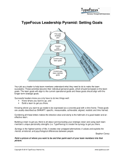 TypeFocus Leadership Pyramid: Setting Goals