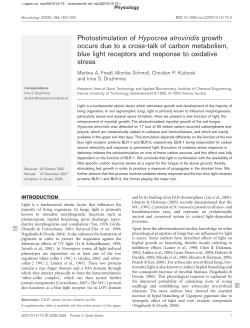 Photostimulation of Hypocrea atroviridis growth occurs due to a