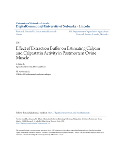 Effect of Extraction Buffer on Estimating Calpain and Calpastatin