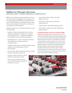 Halliburton Nitrogen Services