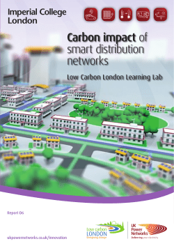 D6 Carbon impact of smart distribution networks D6 Carbon impact