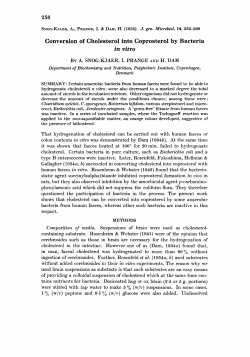 Conversion of Cholesterol into Coprosterol by Bacteria in vitro