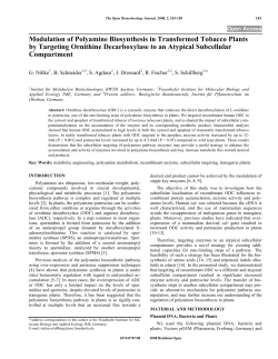 Modulation of Polyamine Biosynthesis in Transformed Tobacco