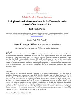 Endoplasmic reticulum-mitochondria Ca2 crosstalk in the