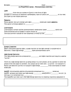 8-2 PowerPoint 8-2 PowerPoint Notes