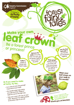 Make a leaf crown