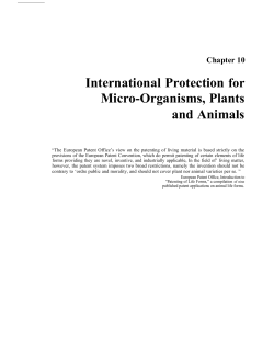 International Protection for Micro