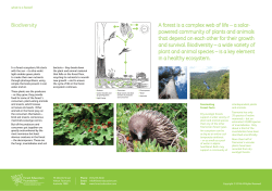 Biodiversity - Forest Education Foundation