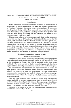 Introduction is customary to remove a shoot from