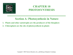 photosynthesis