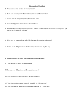 Photosynthesis Worksheet