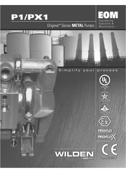 P1/PX1 - Wilden Pump