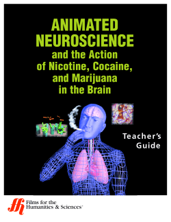 animated neuroscience