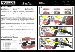 Chain Pig User Manual