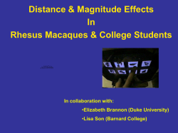 Reaction Time f(distance) - Comparative Cognition Lab @ Tufts