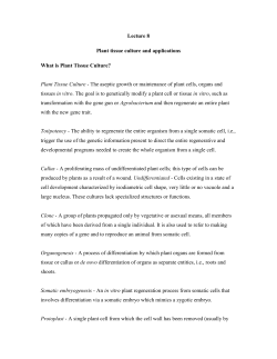 Lecture 8 Plant tissue culture and applications What is Plant Tissue