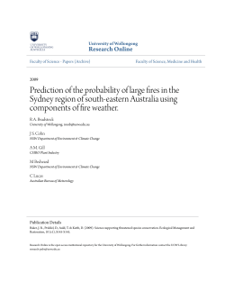 Prediction of the probability of large fires in the