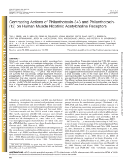 on Human Muscle Nicotinic Acetylcholine Receptors