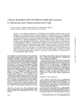 Calcium-dependent Cell-Cell Adhesion Molecules to Hepatocytes