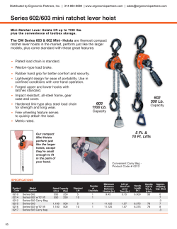 Series 602/603 mini ratchet lever hoist