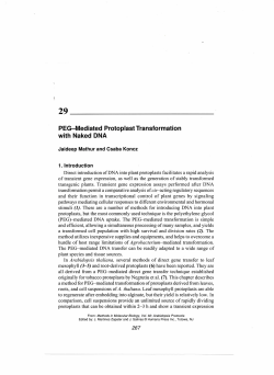 PEG-Mediated Protoplast Transformation with Naked DNA