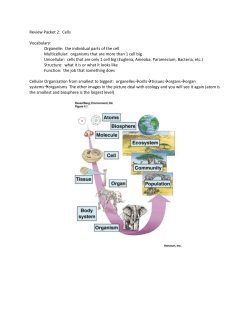 Review Packet 2: Cells