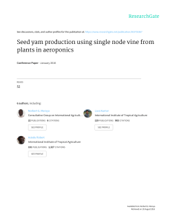 Seed yam production using single node vine from plants in