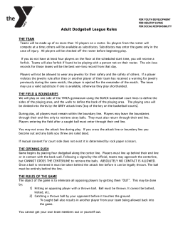 Adult Dodgeball League Rules